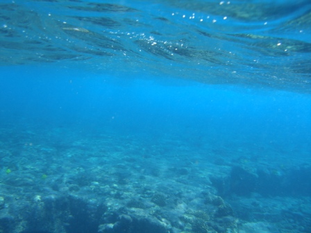 Kona area ocean